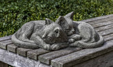 Photo of Campania Nap Time Kittens - Exclusively Campania